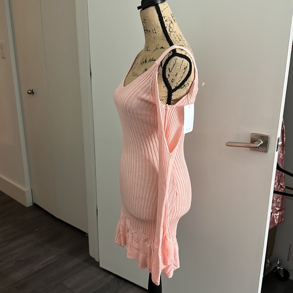 NWT - pretty pink knitted dress from Lovers + Friends!!! - Picture 2 of 7